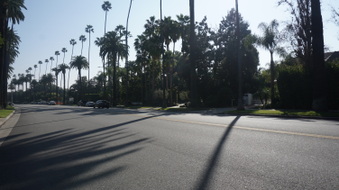 Enlarge photo 22