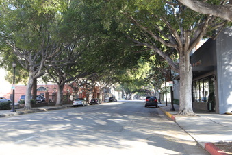 Enlarge photo 38