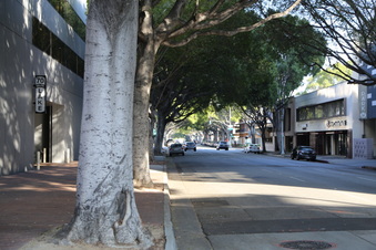 Enlarge photo 42