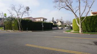 Enlarge photo 37