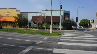 Enlarge photo 41