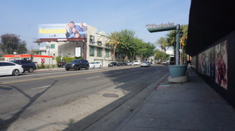 Enlarge photo 61