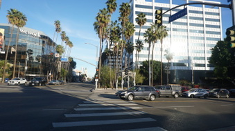 Enlarge photo 57
