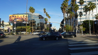Enlarge photo 62