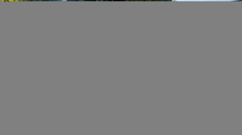 Enlarge photo 40