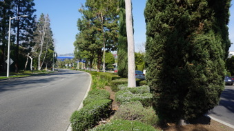 Enlarge photo 11