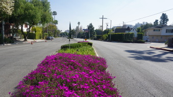 Enlarge photo 28