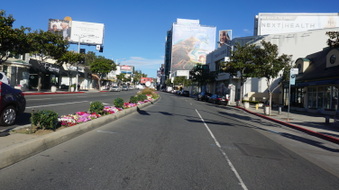 Enlarge photo 23
