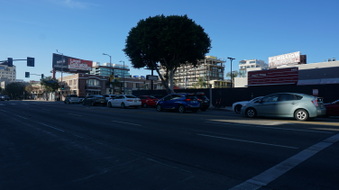 Enlarge photo 73