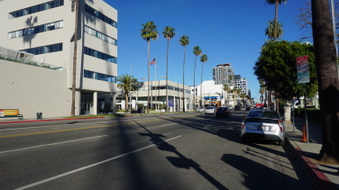 Enlarge photo 91