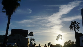 Enlarge photo 98