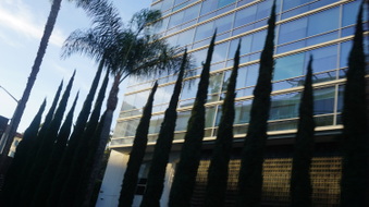 Enlarge photo 102