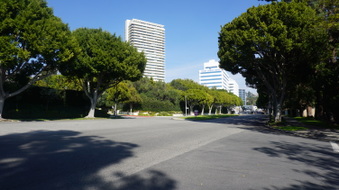 Enlarge photo 61