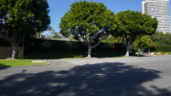 Enlarge photo 60