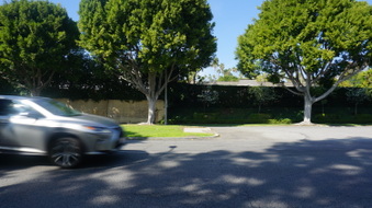 Enlarge photo 59