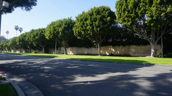 Enlarge photo 58