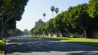 Enlarge photo 57