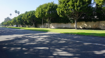 Enlarge photo 56