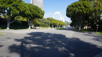 Enlarge photo 55