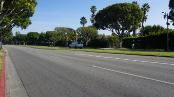 Enlarge photo 53