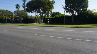 Enlarge photo 51