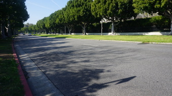 Enlarge photo 47