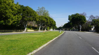 Enlarge photo 43