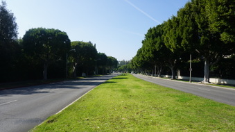 Enlarge photo 42