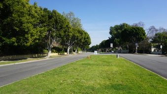 Enlarge photo 41