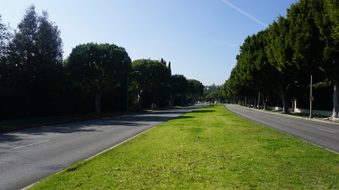 Enlarge photo 37