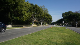 Enlarge photo 36