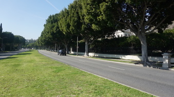 Enlarge photo 35