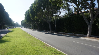 Enlarge photo 27