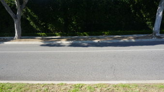 Enlarge photo 26