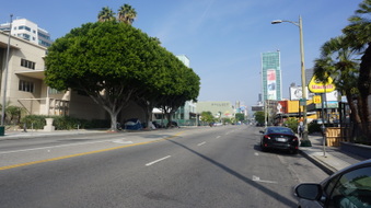 Enlarge photo 19