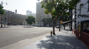 Enlarge photo 53
