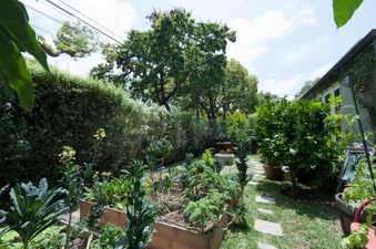 Enlarge photo 7