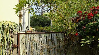 Enlarge photo 78
