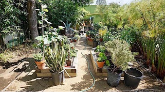 Enlarge photo 82