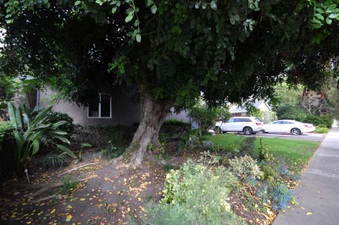 Enlarge photo 4