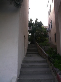 Enlarge photo 32