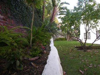 Enlarge photo 43