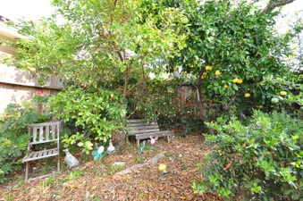 Enlarge photo 48