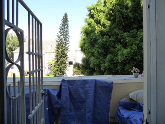Enlarge photo 67