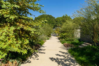 Enlarge photo 107