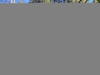 Enlarge photo 65