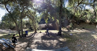 Sanctuary 