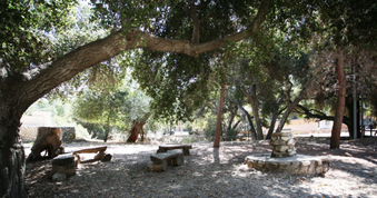 Enlarge photo 12