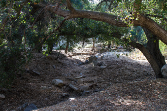 Enlarge photo 58
