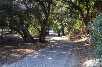 Enlarge photo 59